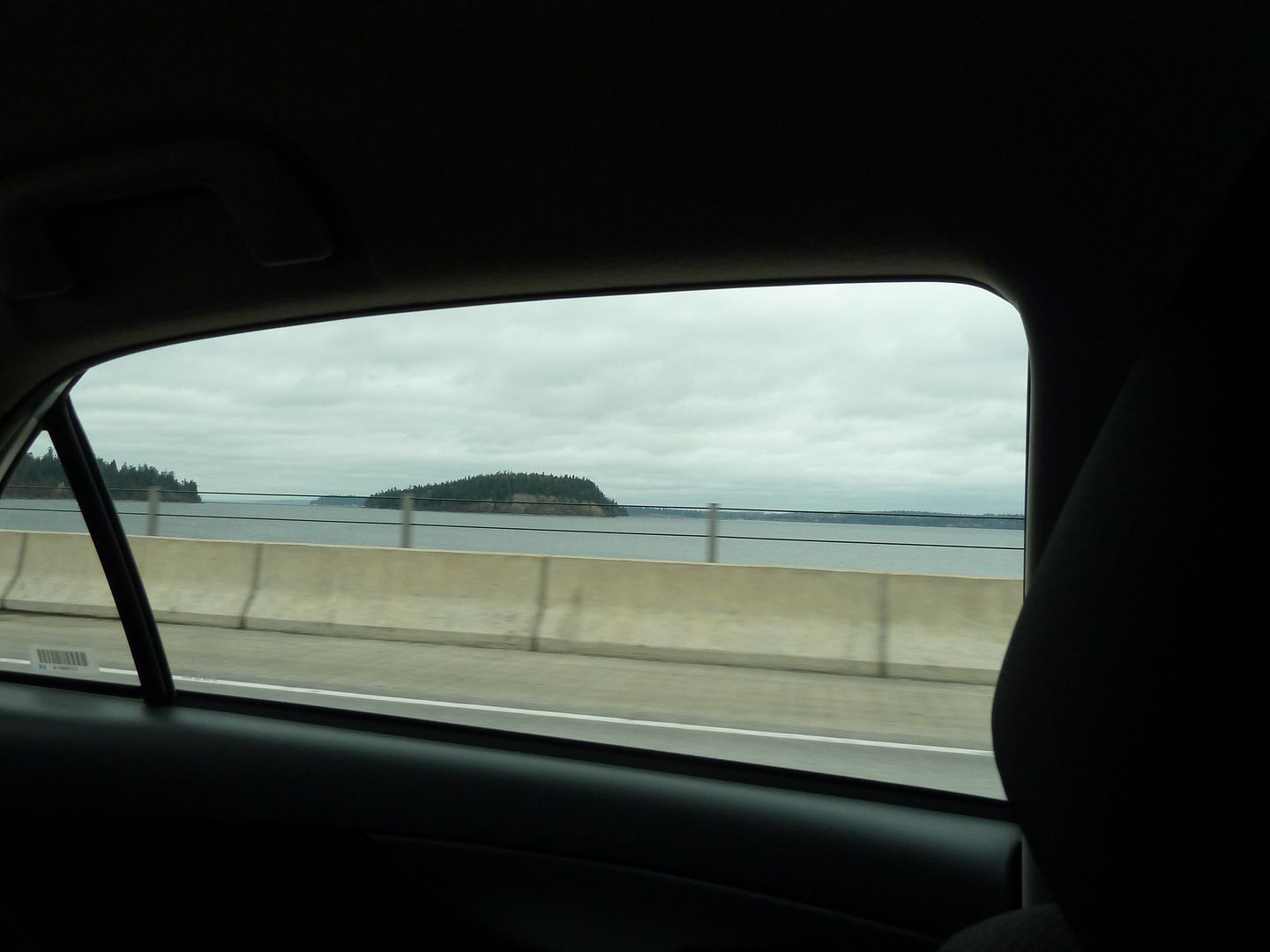 P1020125.jpg