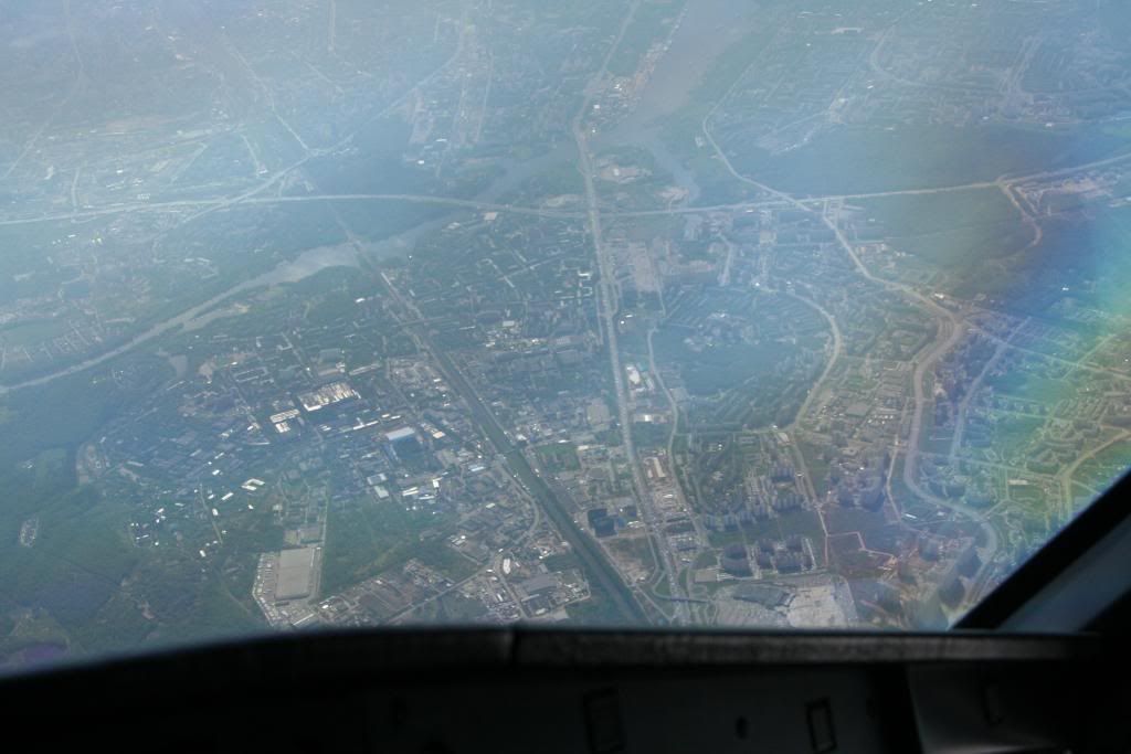mosca55.jpg
