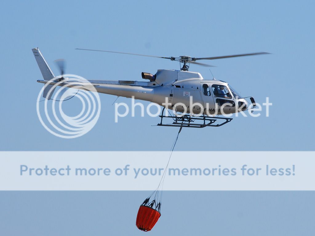 f-hasb.jpg