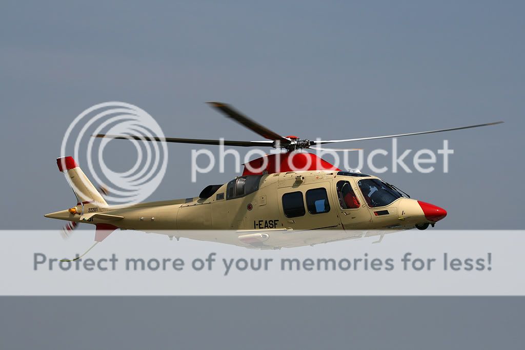 IMG_8874_1024.jpg