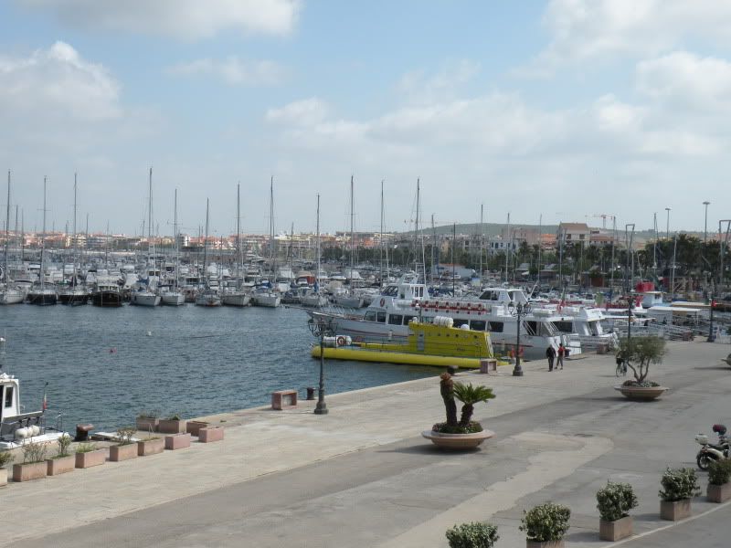 DSCN8303.jpg