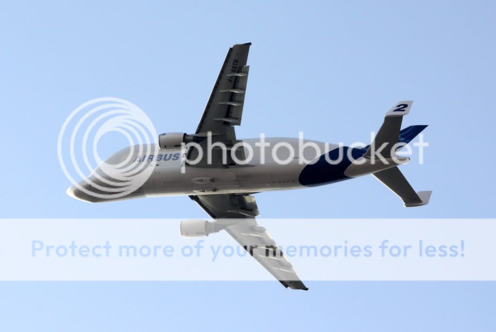 IMG_0196copia.jpg
