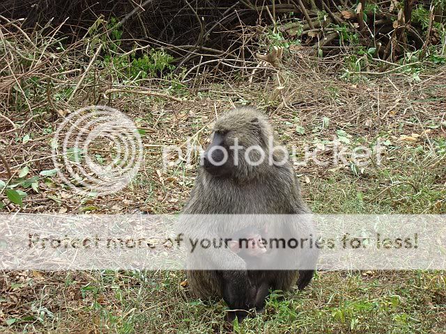 DSC00599.jpg