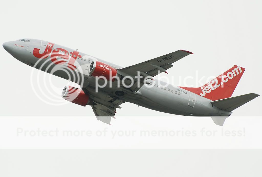 G-CELF.jpg