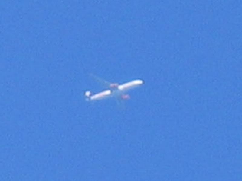 SkyservicePerToronto1-1.jpg