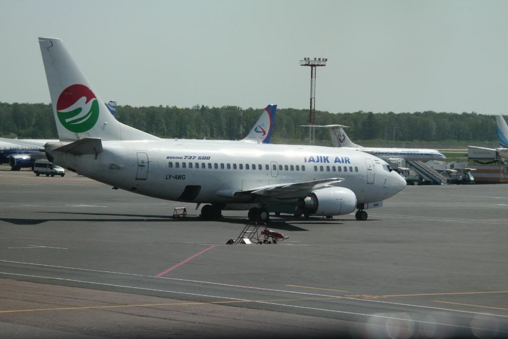 sharm109-1.jpg