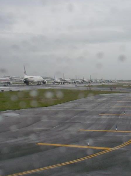 P1020152-1.jpg