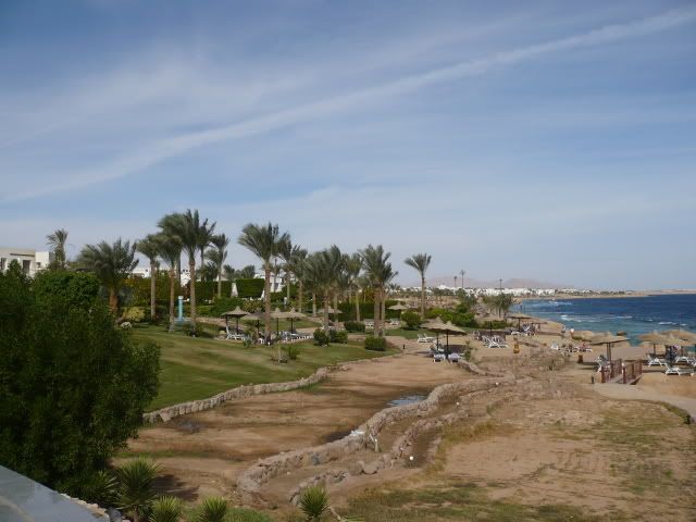 P1000139.jpg