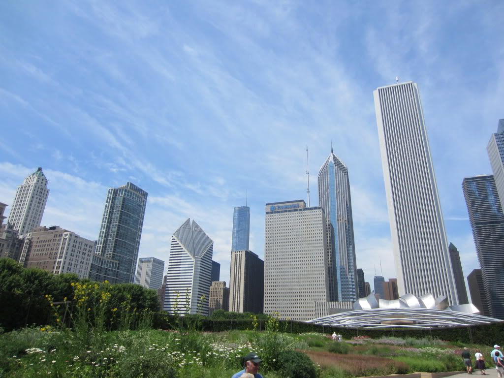 164.jpg