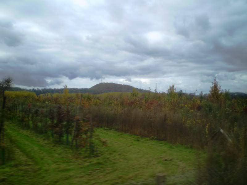 PB040229.jpg