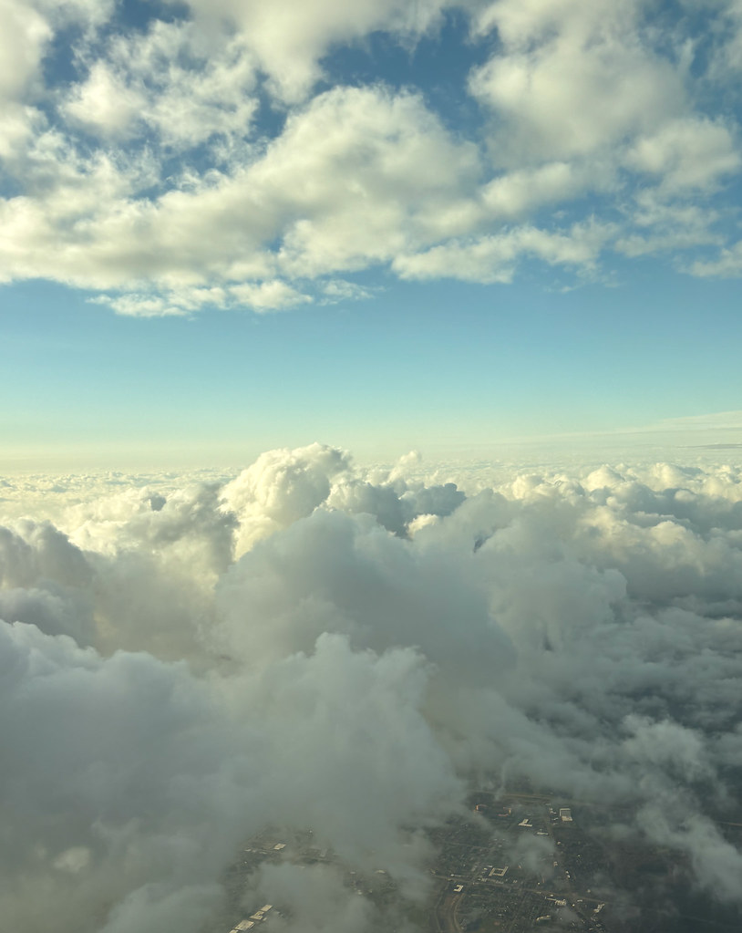 53687780294_223f9f5215_b.jpg