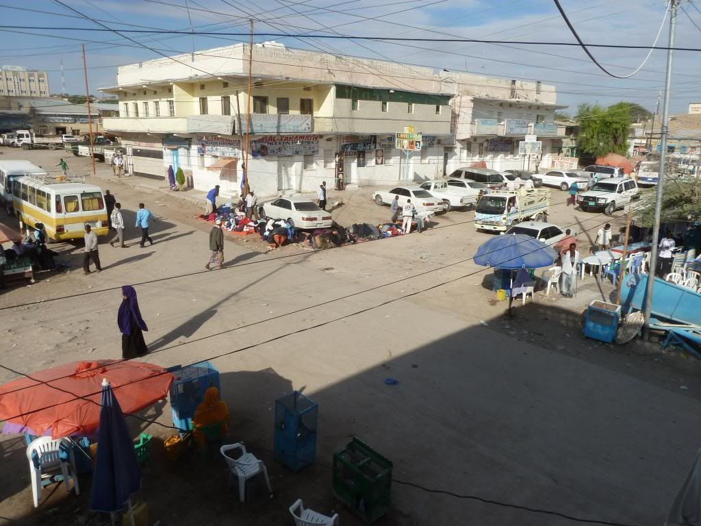 P1190274.jpg