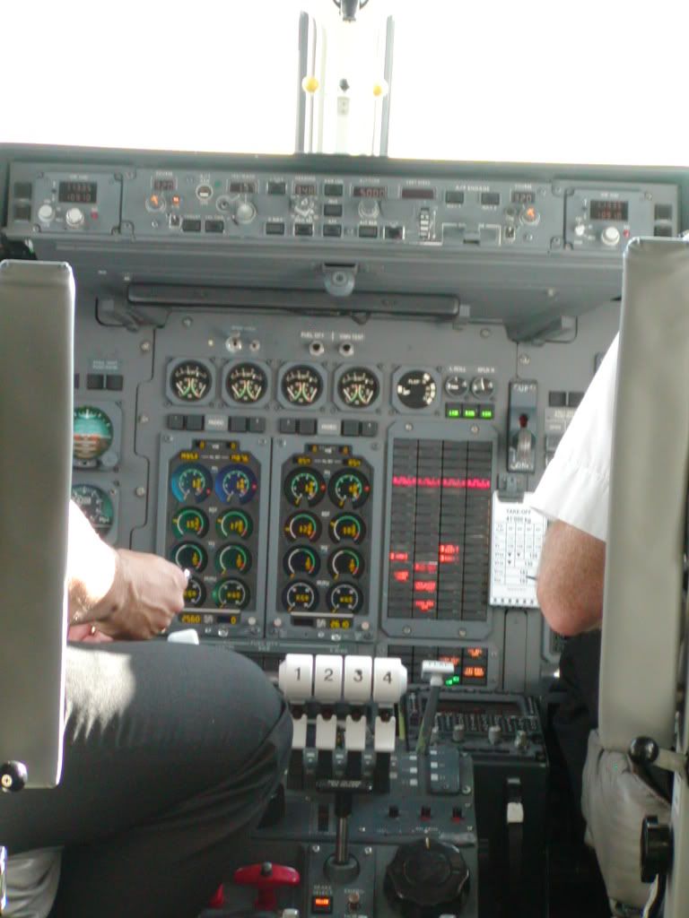 P1010023-1.jpg