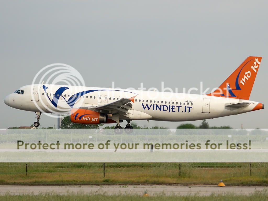 i-linf-1.jpg