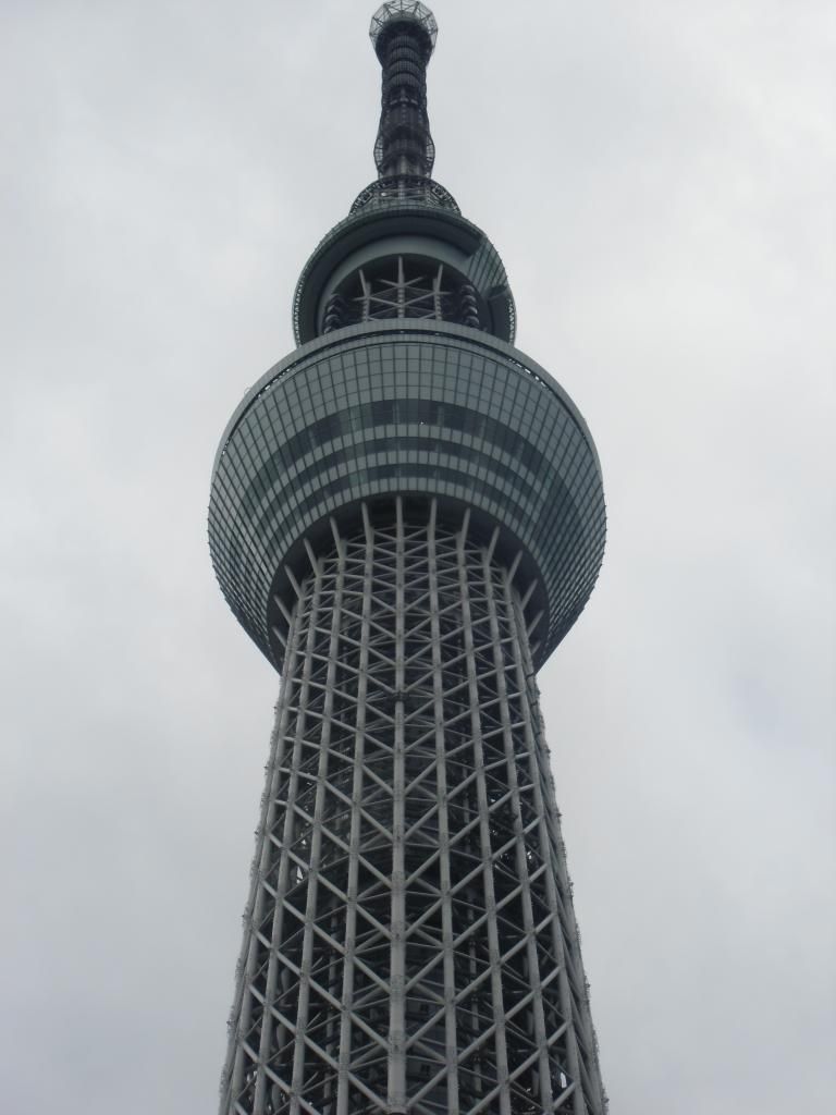 CIMG1039_zpsc0d51c9a.jpg