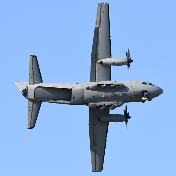 51503689983_2927bfdafa_z.jpg