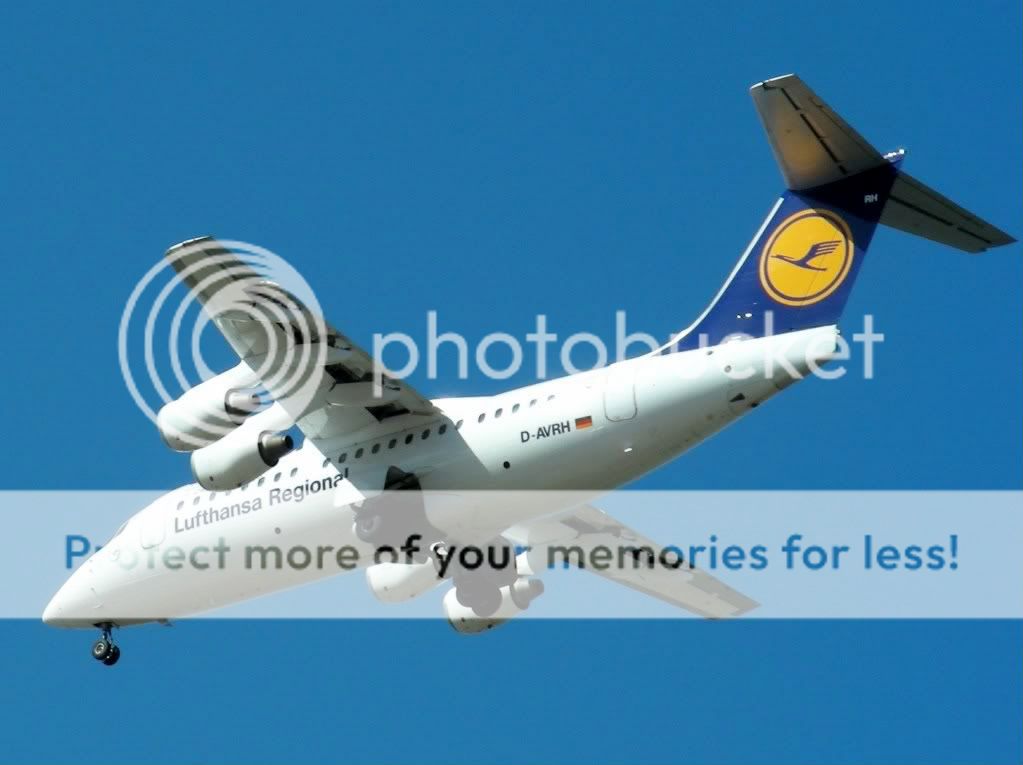 DSCN75902.jpg