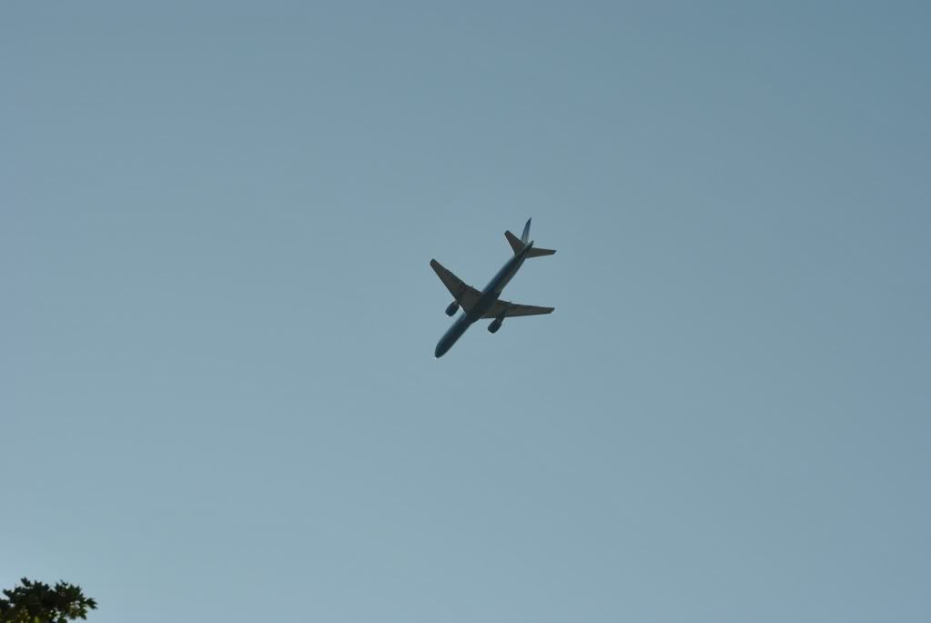 DSC_0239-1.jpg