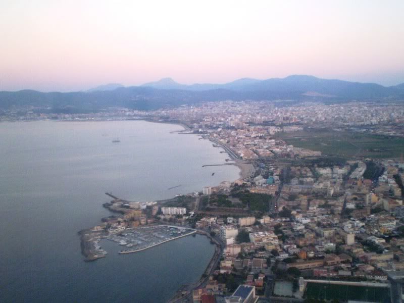 palmaalto.jpg