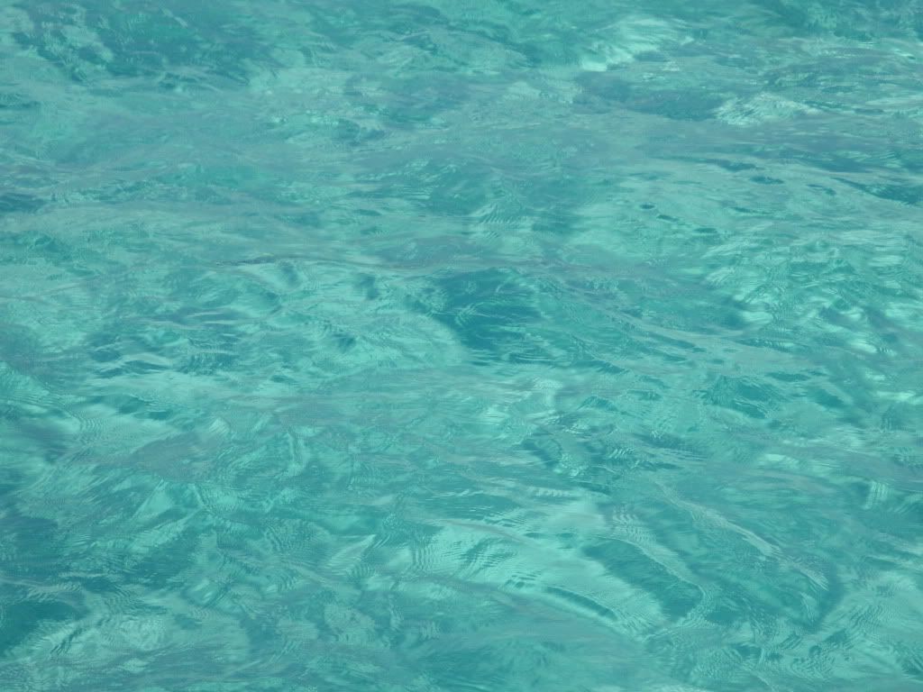 DSC05611.jpg