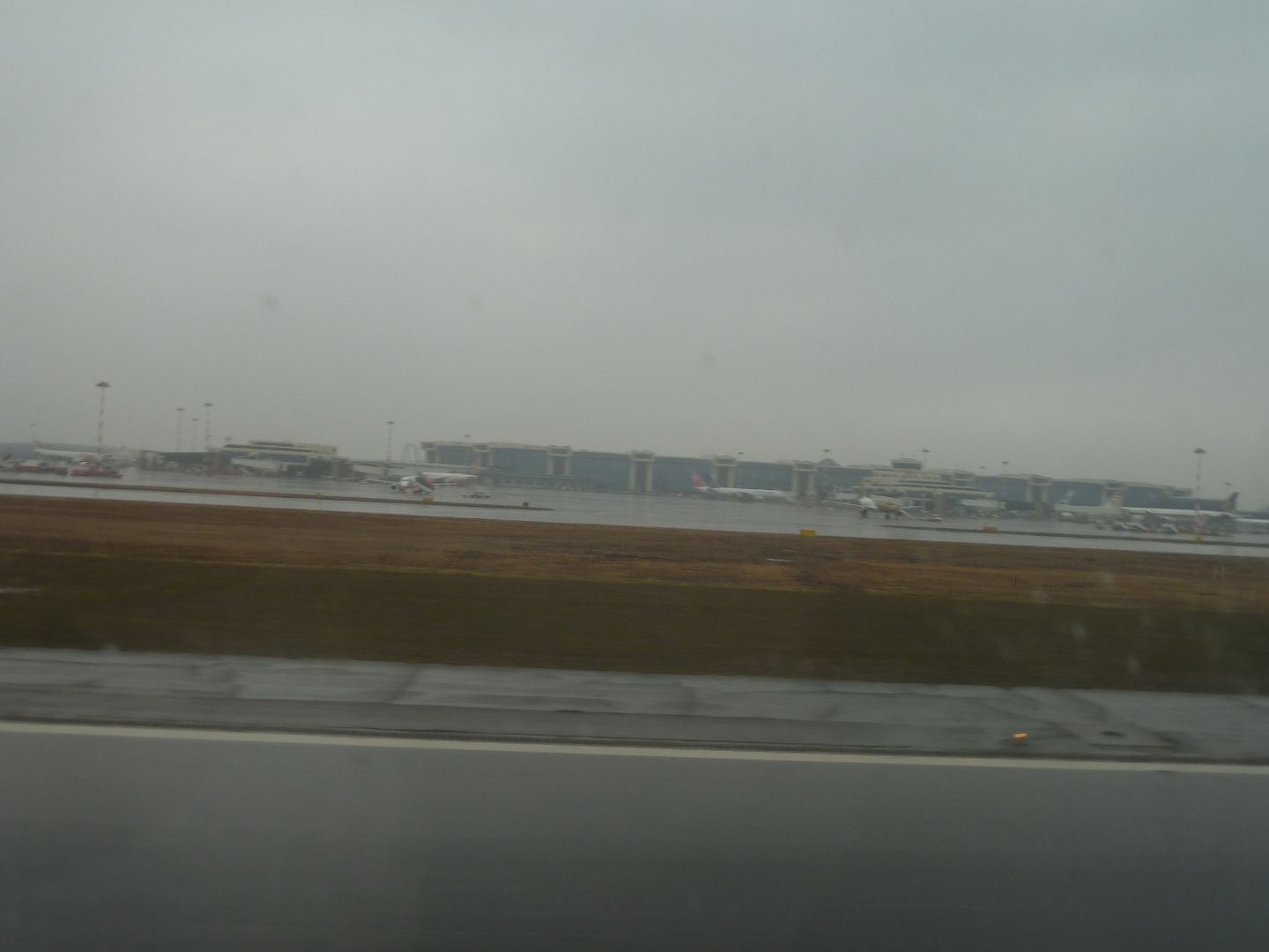 P1020428.jpg