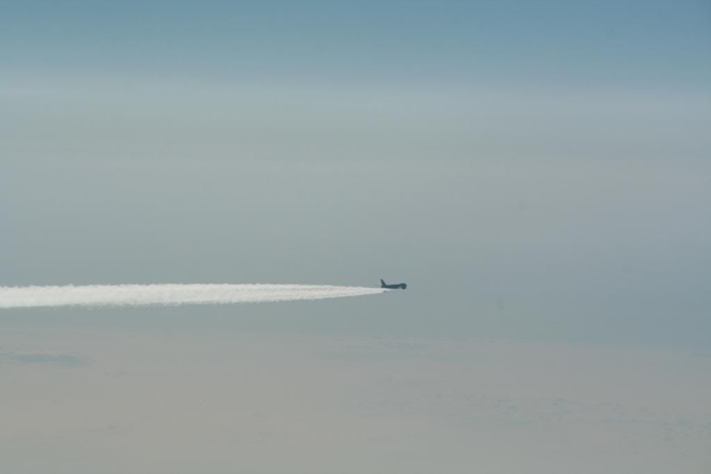 mosca31.jpg