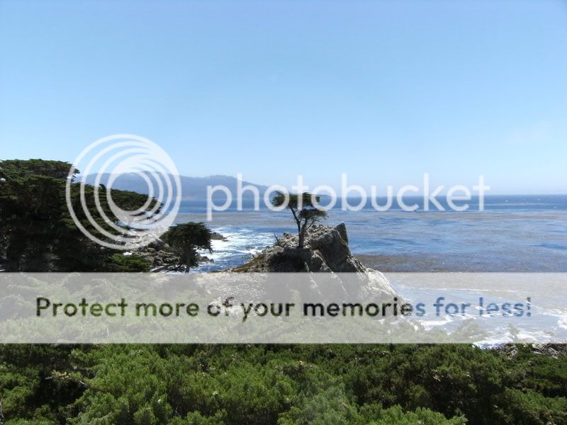 California069.jpg