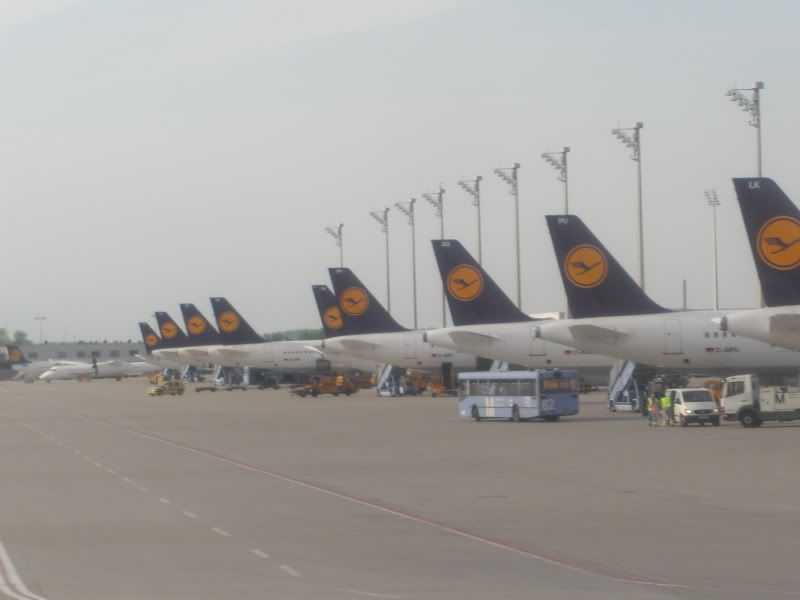 CIMG7348.jpg