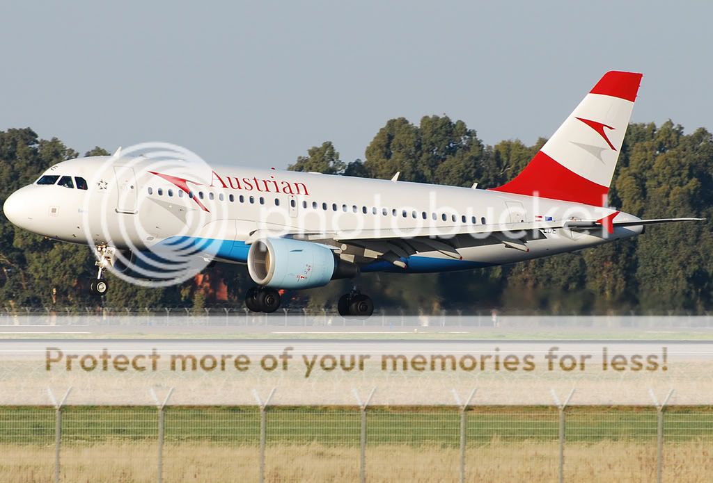 OE-LDE.jpg