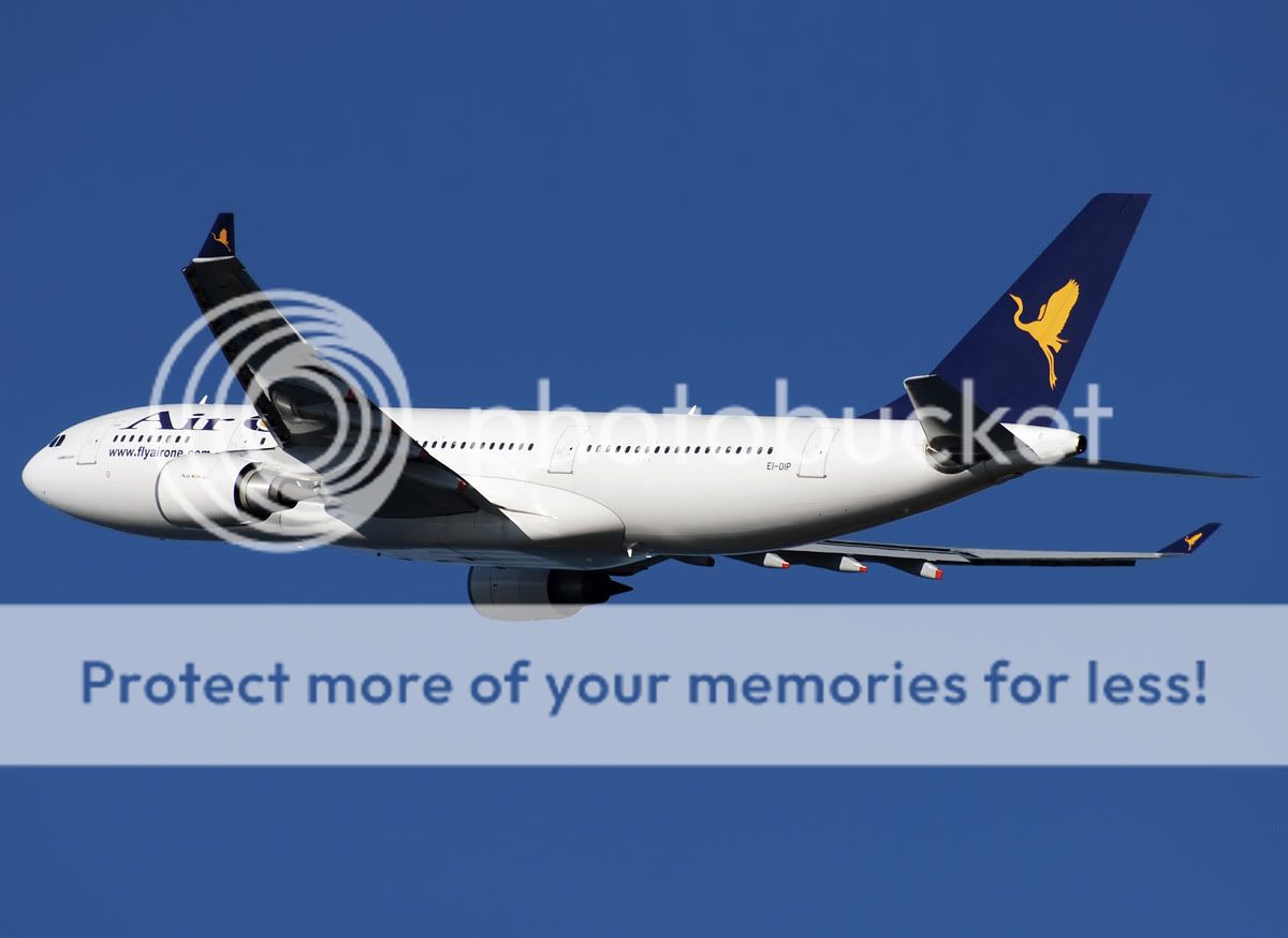 EI-DIP.jpg