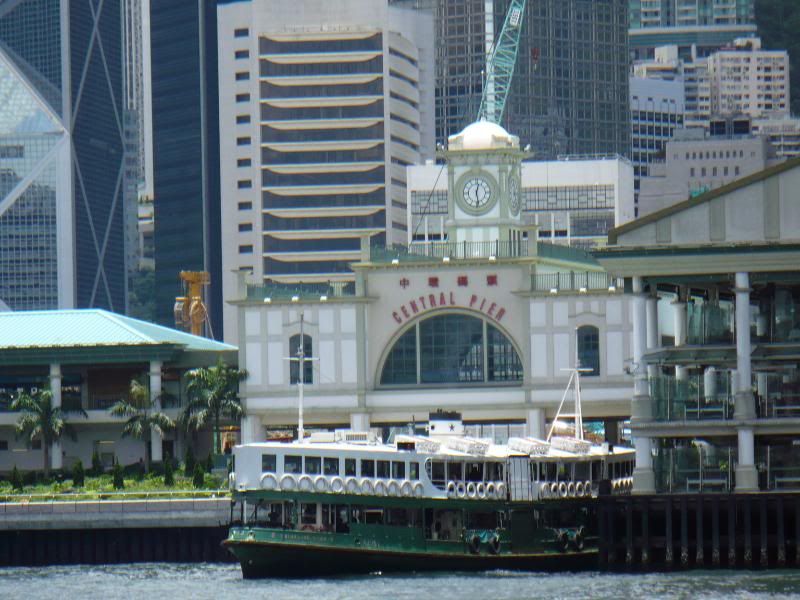 P1000454.jpg