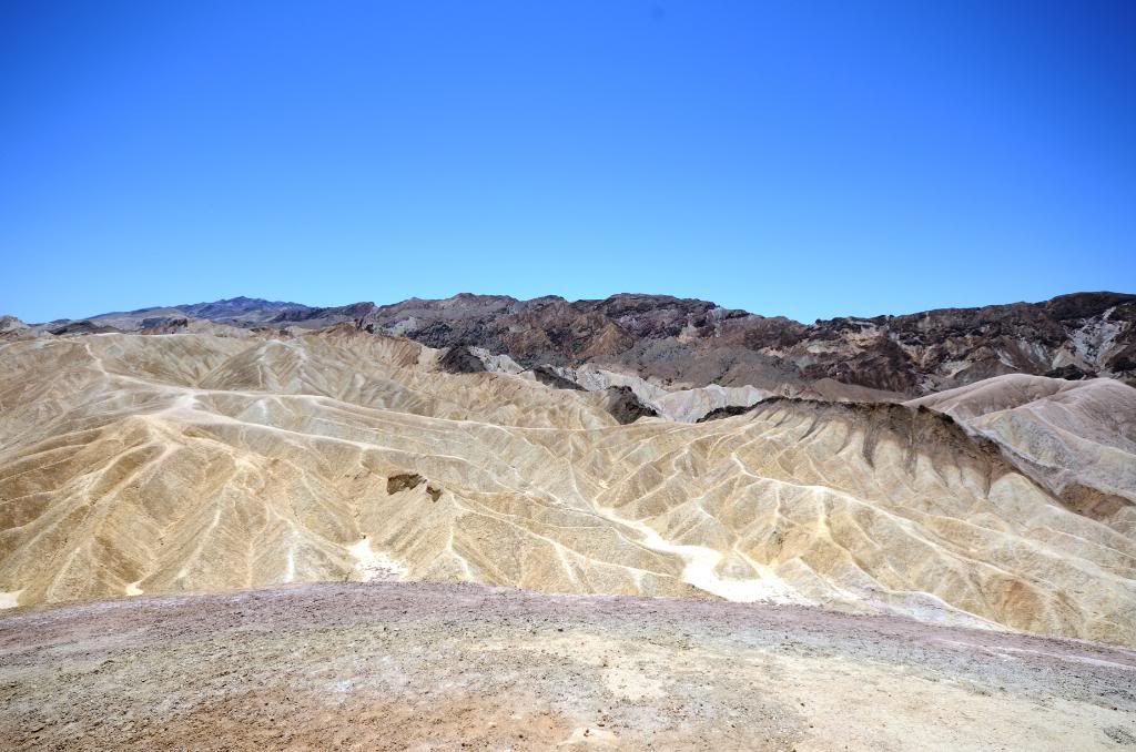 DSC_0971.jpg