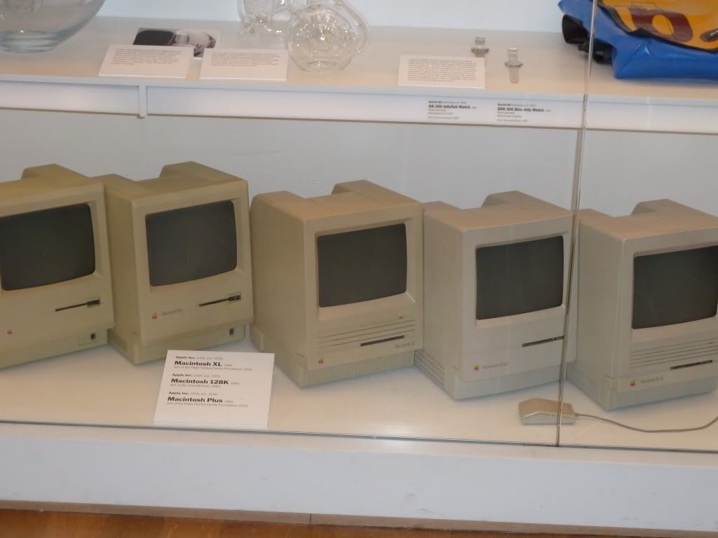 P1000451.jpg