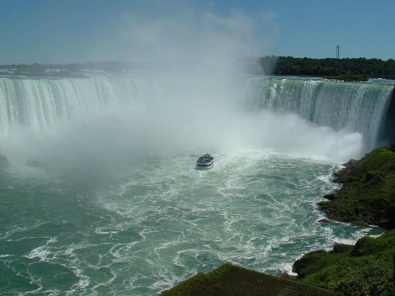 DSCF0349.jpg