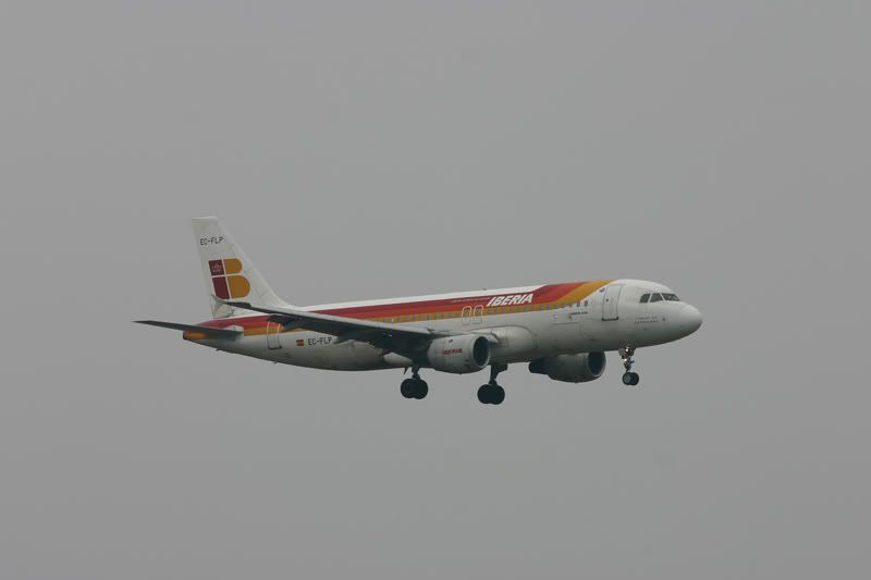 IMG_3972aw.jpg