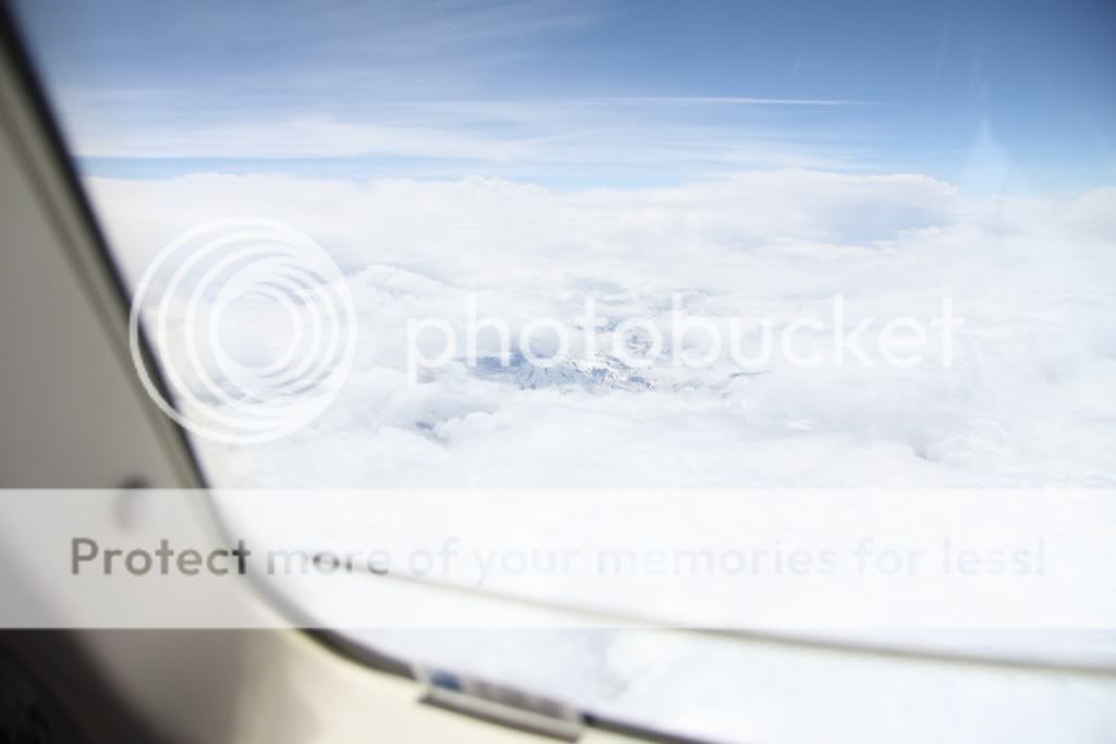 65590063.jpg