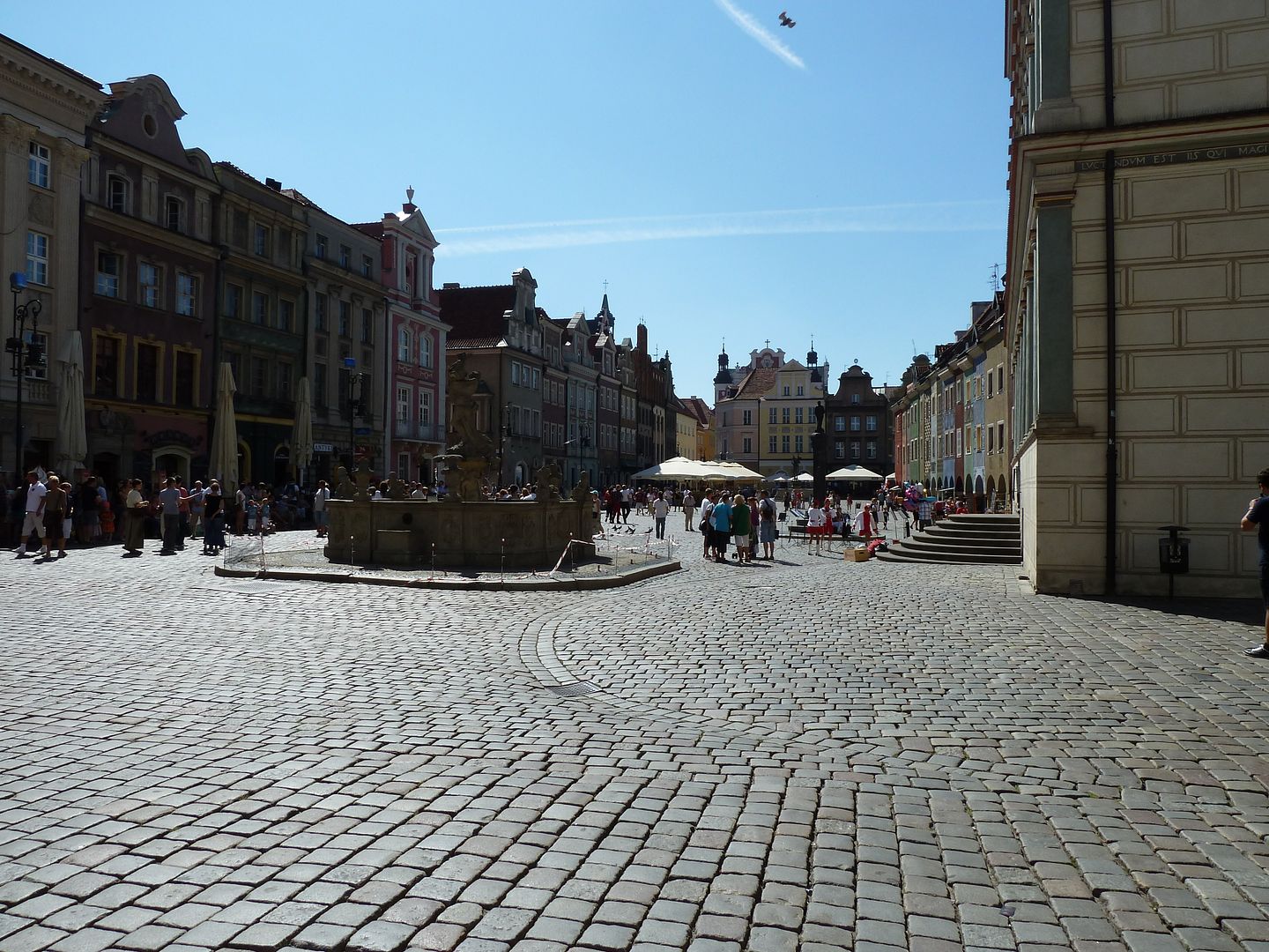 P1030528.jpg