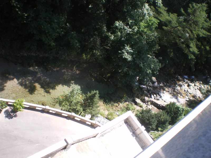 IMGP5798.jpg