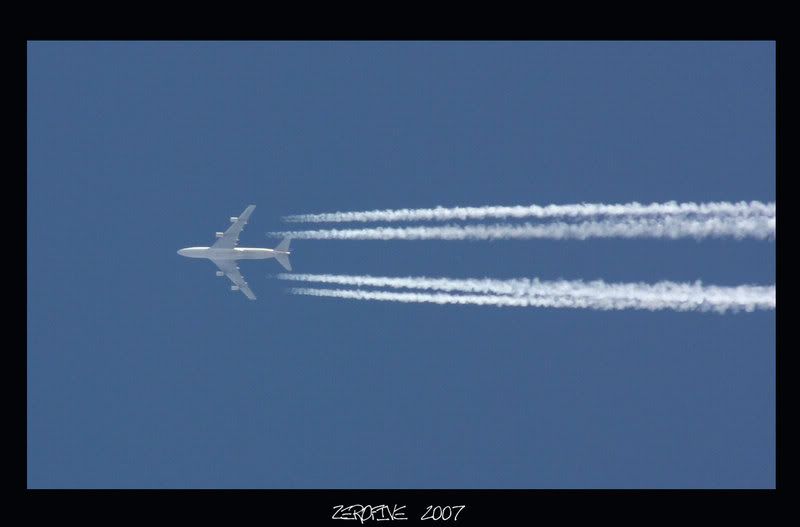 CRW_6589R_JFR.jpg