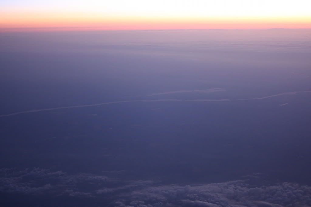 IMG_4014.jpg