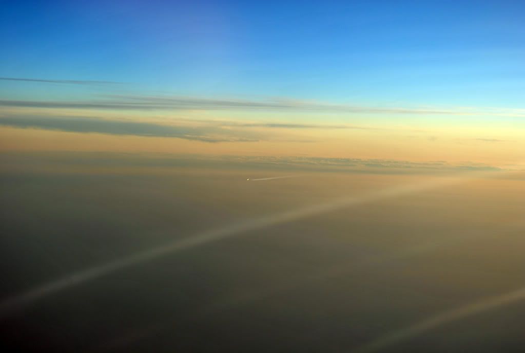 DSC_0318.jpg