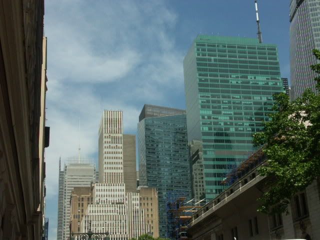 PICT0143.jpg