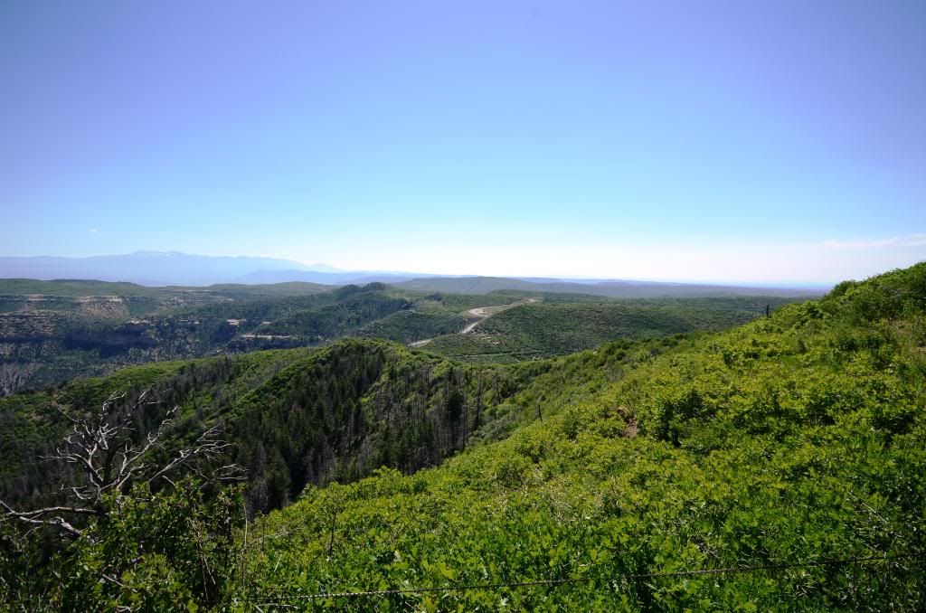 DSC_0782.jpg