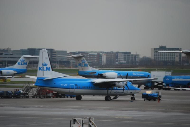 DSC_0037.jpg