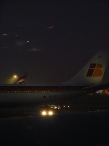 P1010791-1.jpg