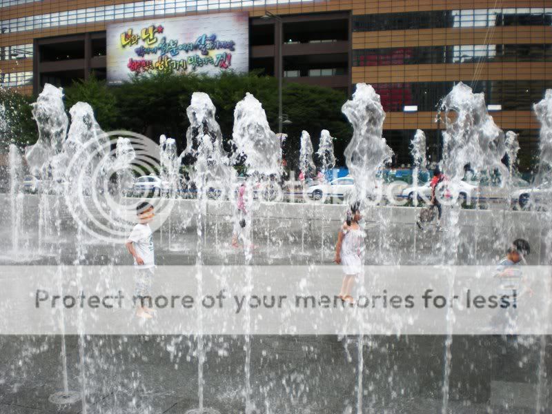 DSCN2553.jpg