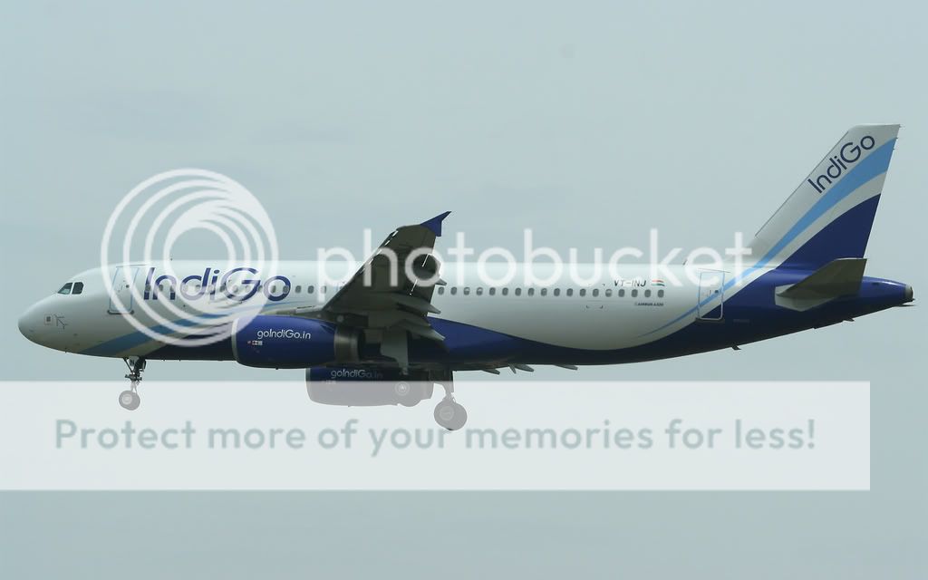002-INDIGO-VT-INJ-A3204.jpg
