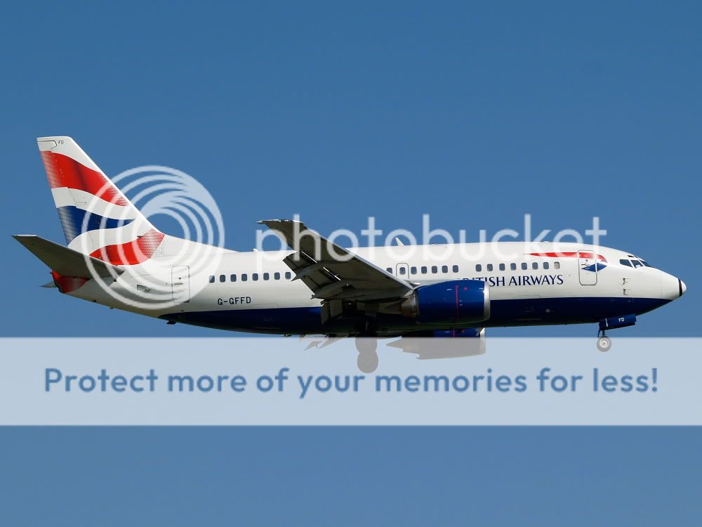 AM018772.jpg
