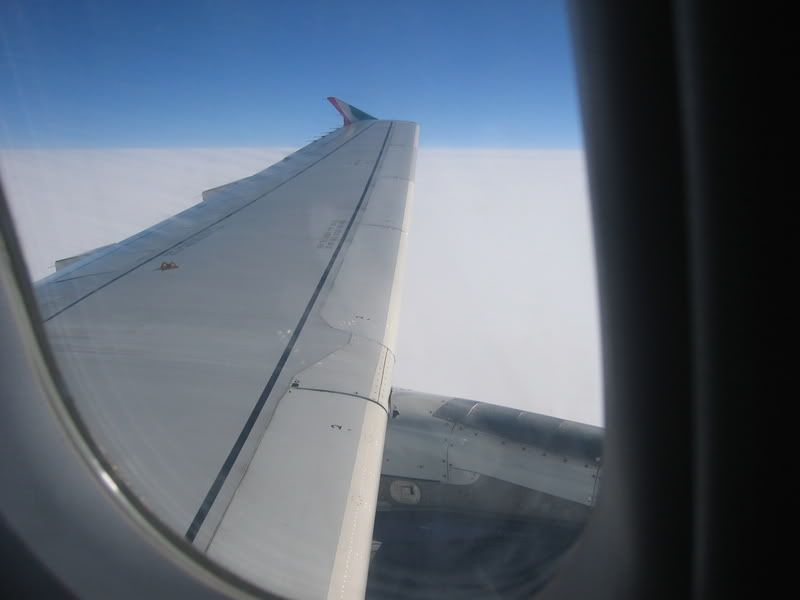 fin031.jpg