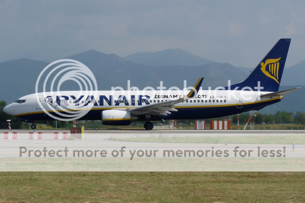 EI-DLG-3.jpg